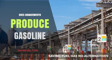 Exploring Scotland's Petrochemical Hub: Gasoline Production at Grangemouth Refinery