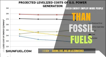 Green Energy: More Jobs Than Fossil Fuels?