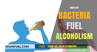 Gut Bacteria's Role: Unraveling the Link to Alcoholism and Addiction