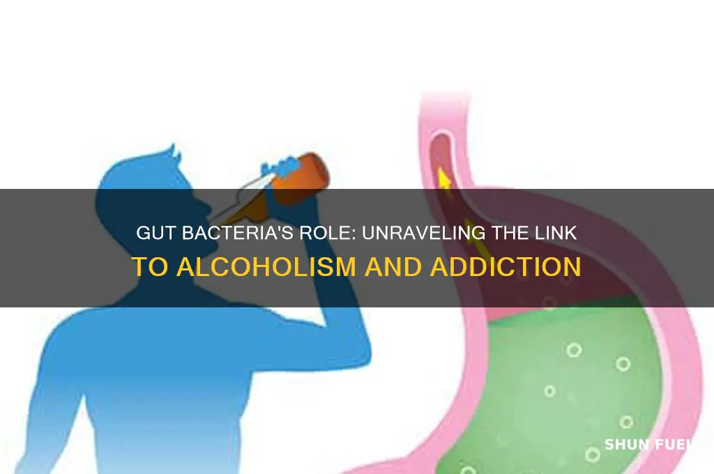 does gut bacteria fuel alcoholism