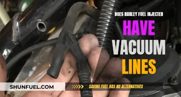 Harley's Fuel Injection: The Role of Vacuum Lines