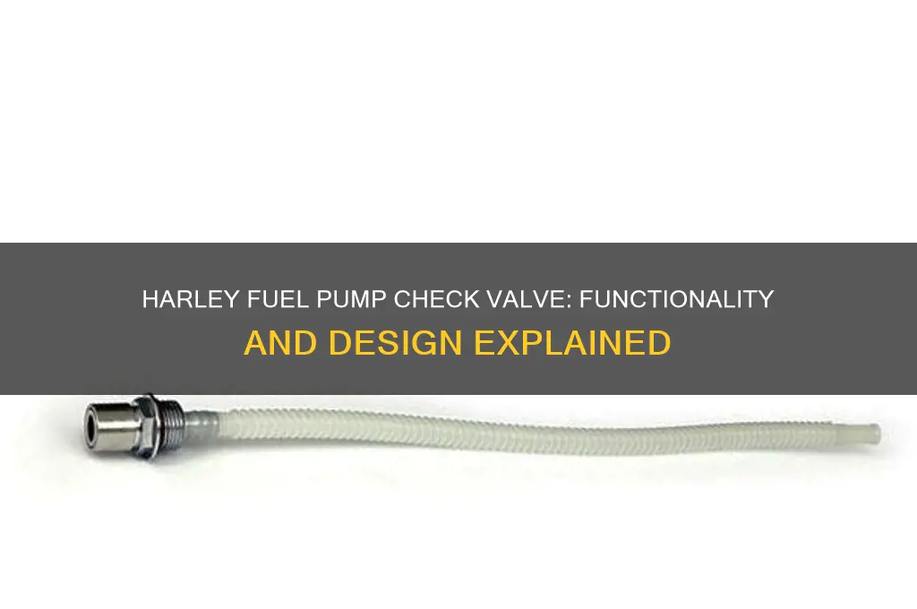 does harley fuel pump have a check valve in it