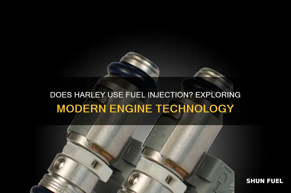 does harley have fuel injection