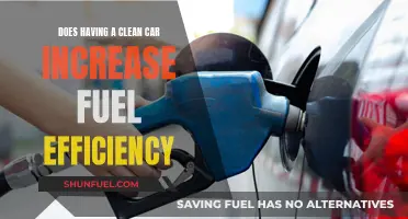 Clean Cars, Fuel Efficiency: The Sparkling Truth