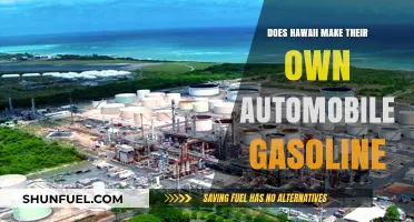 Exploring Hawaii's Unique Approach to Automobile Gasoline Production