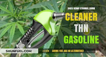 Exploring the Environmental Impact: Hemp Ethanol vs. Gasoline