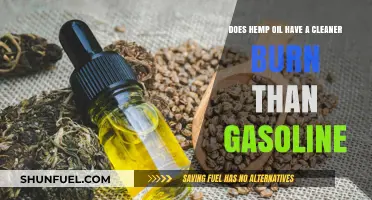 Exploring Hemp Oil: A Cleaner Alternative to Gasoline?