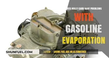 Holly Carburetor and Gasoline Evaporation Issues: A Detailed Analysis