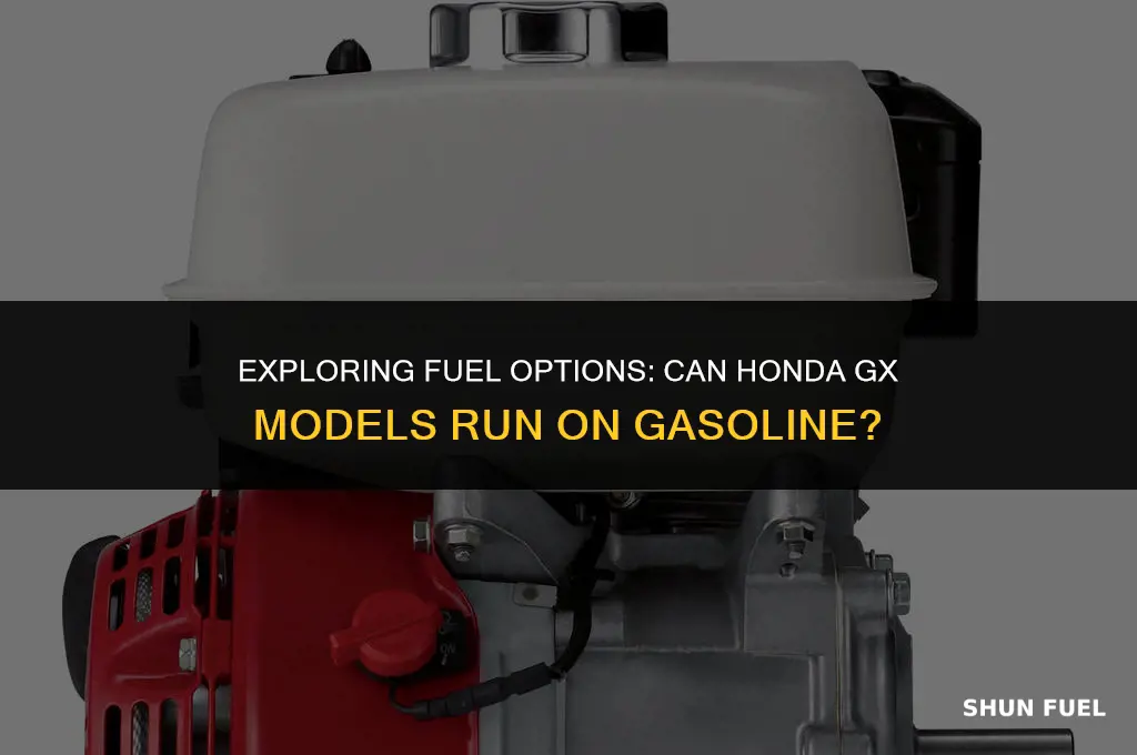 does honda gx run on gasoline