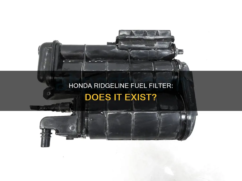 does honda ridgeline have a fuel filter