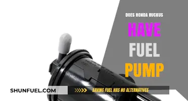 Does the Honda Ruckus Have a Fuel Pump? Explained