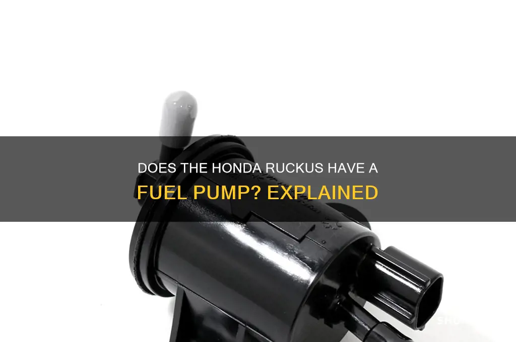 does honda ruckus have fuel pump