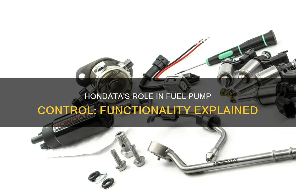 does hondata control fuel pump