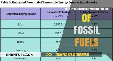 Hydroelectric Power: A Green Alternative to Fossil Fuels?