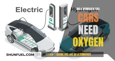 Breathing Life: Do Hydrogen Fuel Cars Require Oxygen?