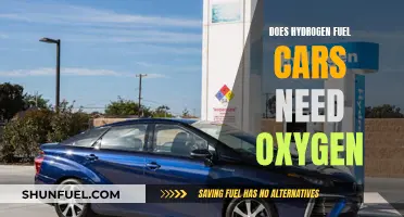 Hydrogen Fuel Cars: Do They Breathe Oxygen?
