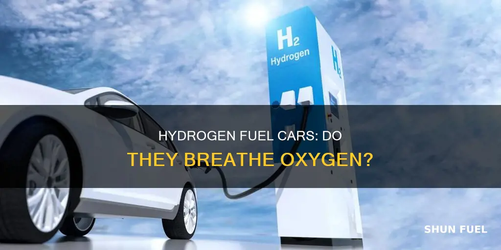 does hydrogen fuel cars need oxygen