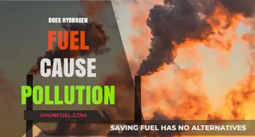 Hydrogen Fuel: A Clean Energy Solution or Hidden Pollutant?