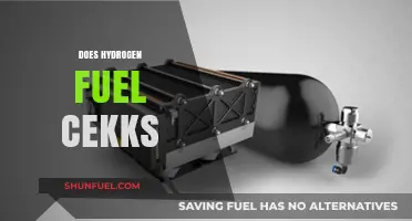 Hydrogen Fuel Cells: Clean Energy Potential, Challenges, and Future Prospects