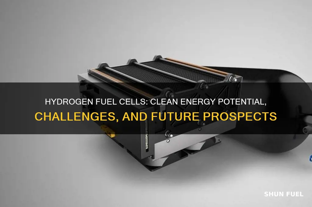 does hydrogen fuel cekks