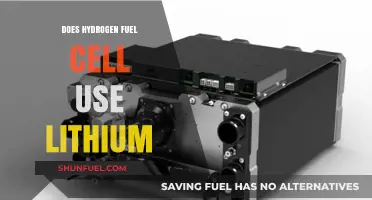 Hydrogen Fuel Cells vs. Lithium: Understanding Their Distinct Technologies