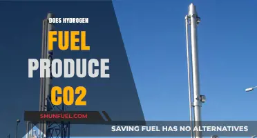 Hydrogen Fuel and CO2 Emissions: Debunking Myths and Facts