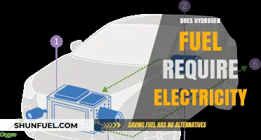 Does Hydrogen Fuel Depend on Electricity? Exploring the Energy Connection