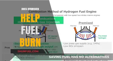 Hydrogen's Role in Enhancing Combustion Efficiency: Fact or Fiction?