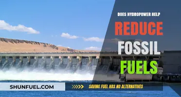 Hydropower: A Green Alternative to Fossil Fuels?