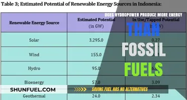 Hydropower vs Fossil Fuels: A Battle for Energy Supremacy