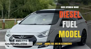 Hyundai's Diesel Models: Exploring Fuel Options