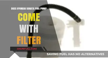 Hyundai Sonata Fuel Pump: Filter Included?