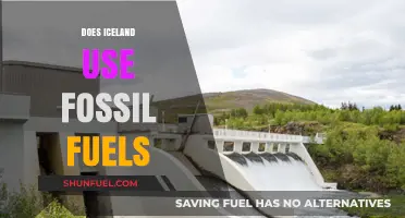 Iceland's Energy Sources: Fossil Fuels or Renewable?