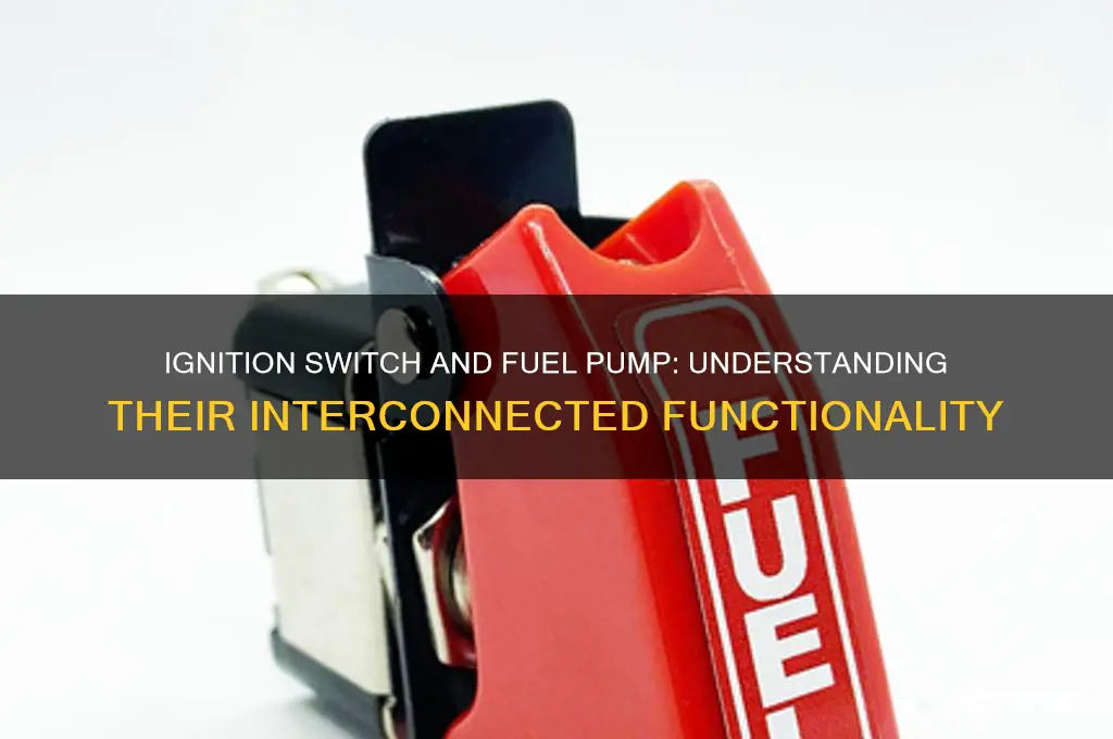 does ignition switch control fuel pump