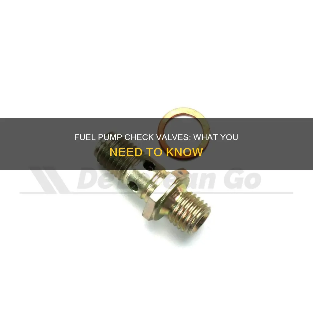 does in in tank fuel pump have a check valve