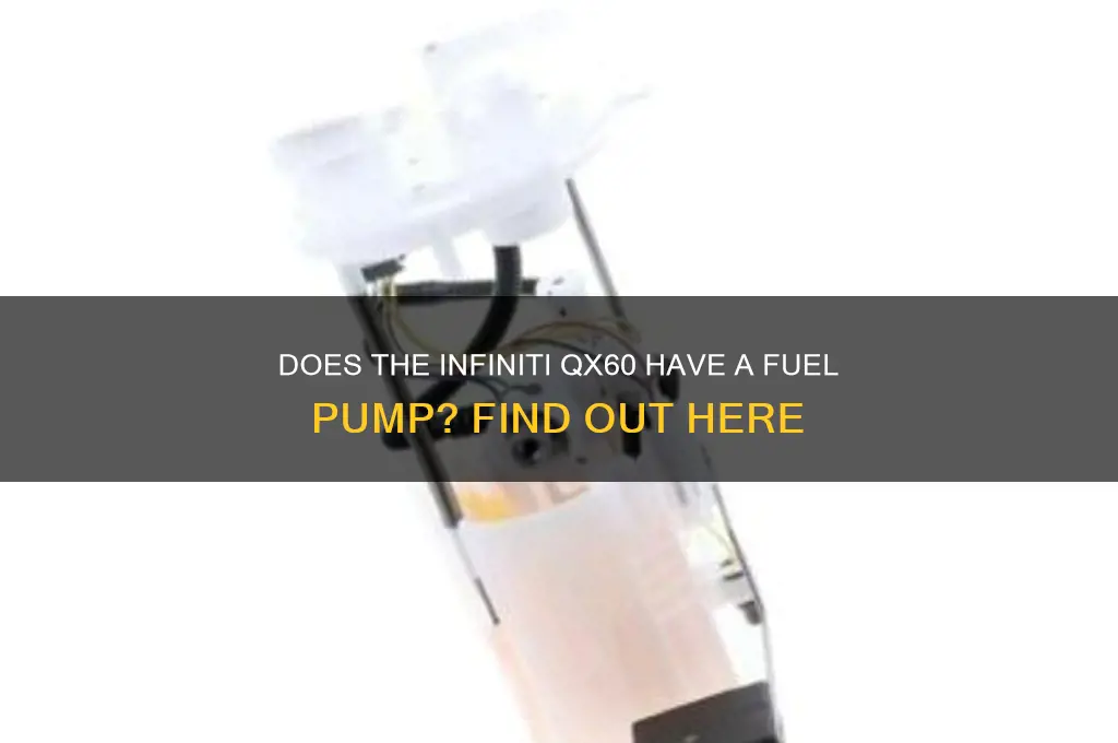 does infiniti qx60 have a fuel pump