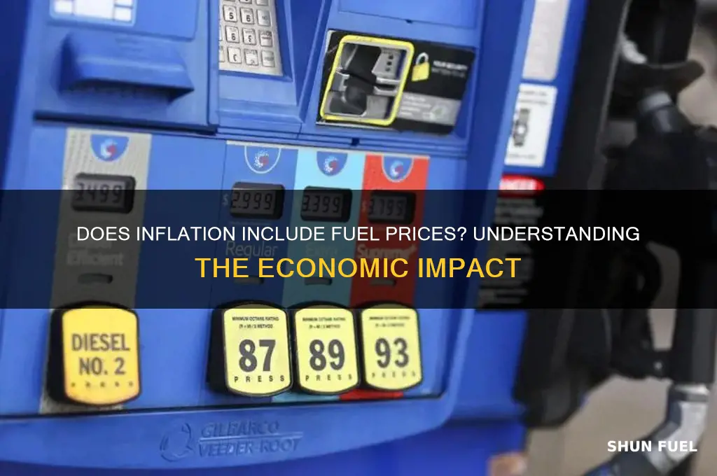 does inflation include fuel prices