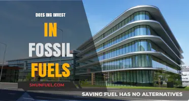 ING's Fossil Fuel Investments: Ethical or Not?