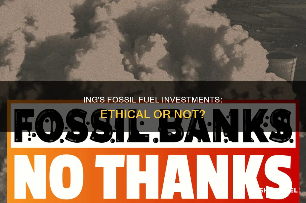 does ing invest in fossil fuels