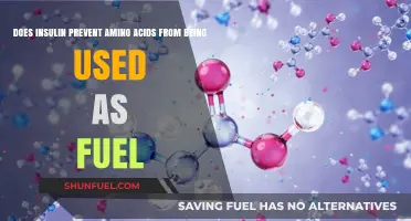 Insulin's Role: Does It Block Amino Acids as Fuel Sources?