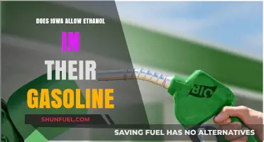 Iowa's Ethanol Policy: A Closer Look at Gasoline Regulations