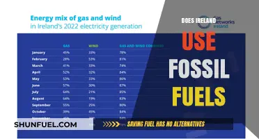 Ireland's Energy Sources: Fossil Fuel Usage Explored