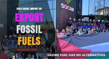 Israel's Fossil Fuel Trade: Importer or Exporter?