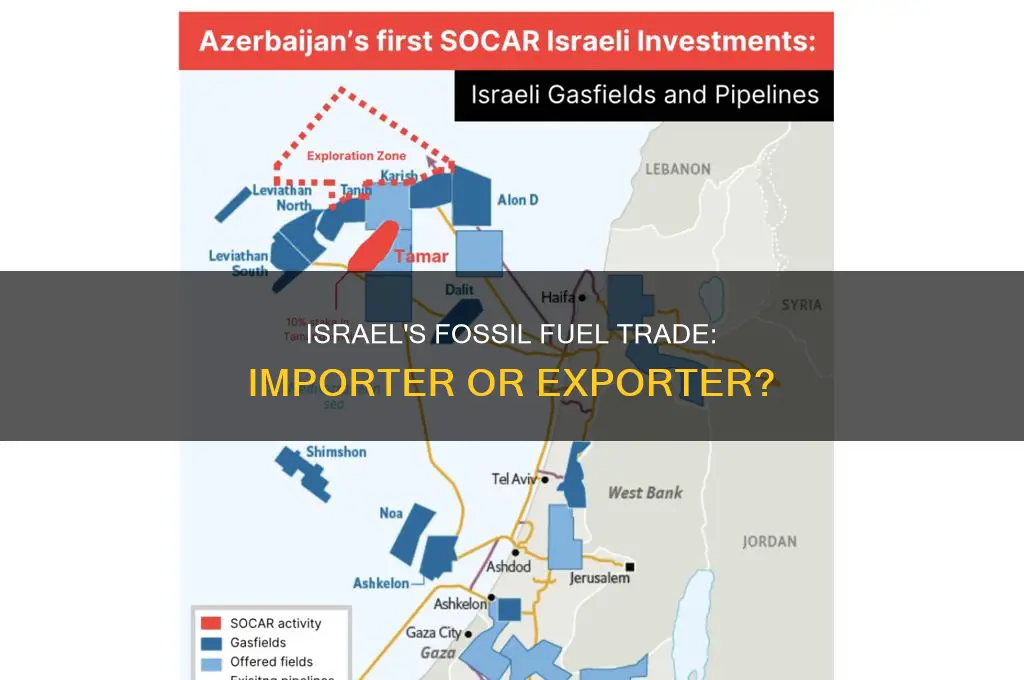 does israel import or export fossil fuels