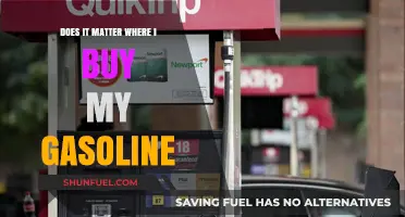 Pump Price Puzzle: Does the Gas Station Matter?