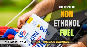 Non-Ethanol Fuel Benefits: Cost-Effective or Costly Choice for Drivers?