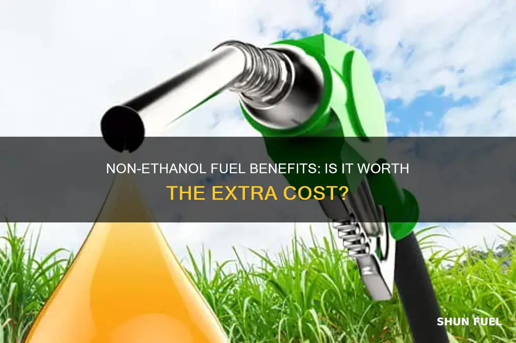does it pay to use non ethinol fuel