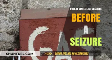 Unraveling the Mystery: Gasoline Smell and Seizure Connection