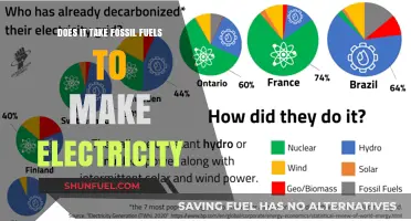 Fossil Fuels: Powering Our Electricity, but at What Cost?