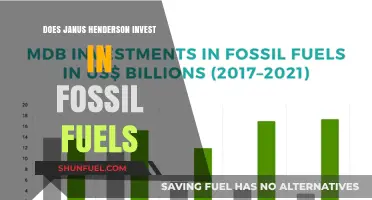 Janus Henderson's Fossil Fuel Investment Strategy